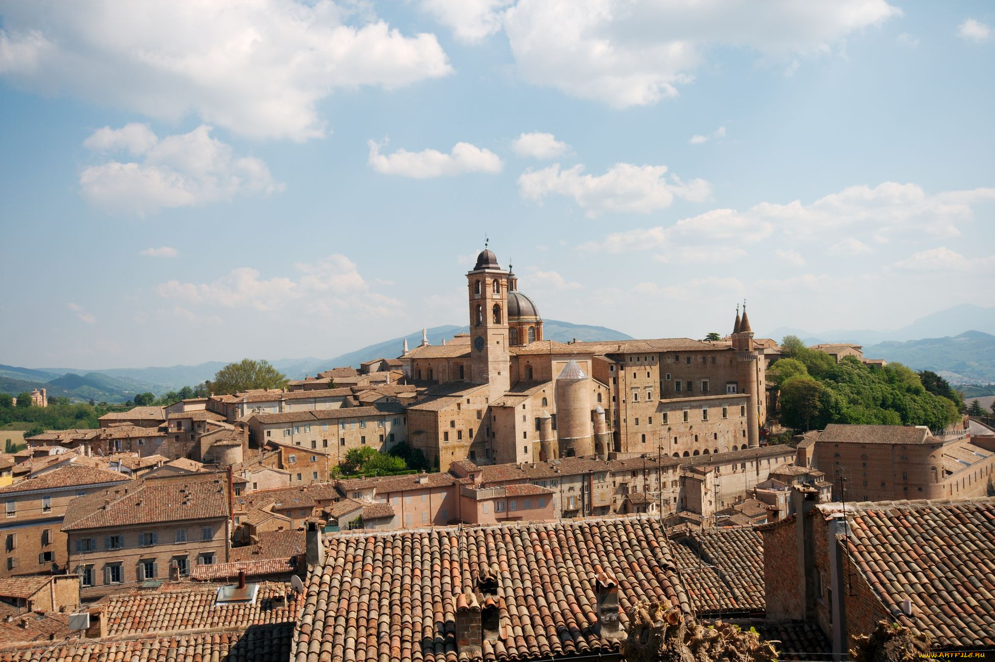 , , , , , urbino, , 